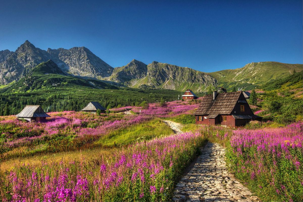Zakopane z przewodnikiem